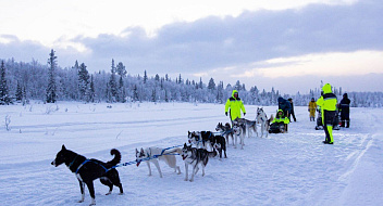 Husky Camp